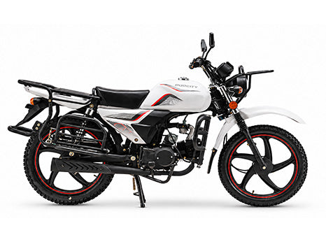 HACHI110