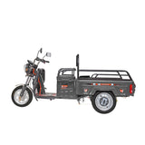 Triciclo de Carga Eléctrico, Kiwo color Gris